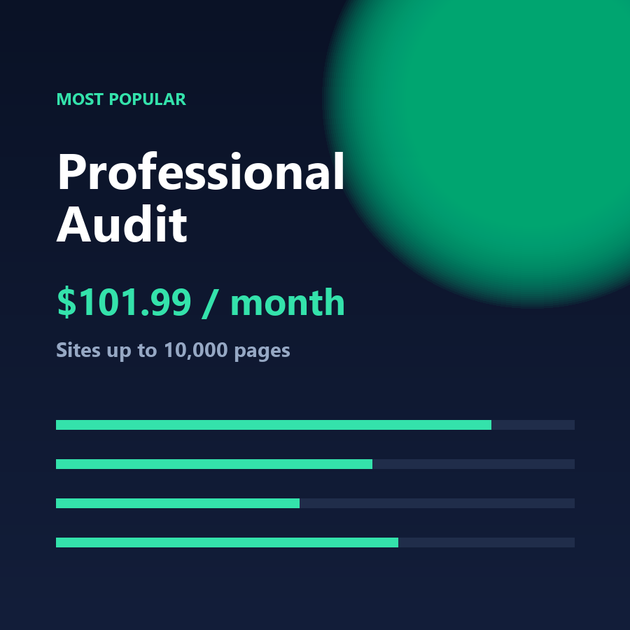 Professional Audit